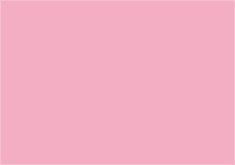 Papír xerogr.barva růžová sv.pastel/Tropic/Flamingo A4  80g 500 listů OPI74