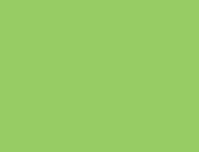 Papír xerogr.barva zelená pastel/Forest/MittelGrün A4  80g 500 listů MG28