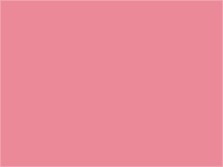Papír xerogr.barva růžová losos pastel/Coral/Rosa A4  80g 500 listů PI25