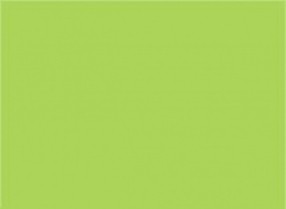 Papír xerogr.barva zelená Intensiv/Java/Maingrün A4  160g 500 listů MA42