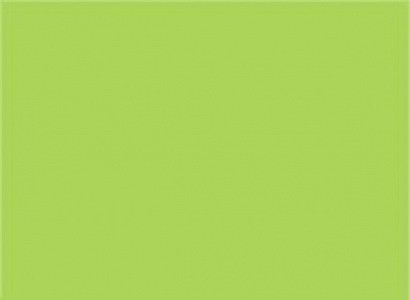 Papír xerogr.barva zelená Intensiv/Java/Maingrün A4  160g 250 listů MA42
